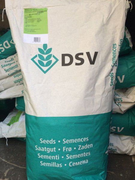 Насіння для газонів DSV "Euro Grass"